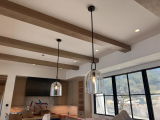 lisa frolich review photo