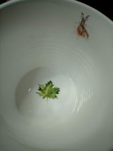 Holly review photo