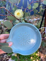 AUSTRALIA ready to ship: 3-in-1 Garlic & Ginger Grater with Herb Stripper & Spoon Rest