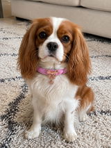 Giulia Romano review photo