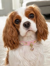 Lola Robin review photo