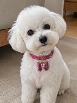 Leonie Wagner review photo