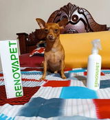 Diego Andres U. review photo