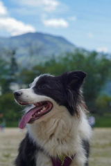 Paula review photo
