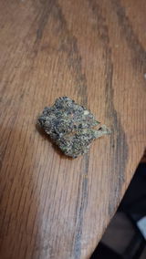Trevor Dennison review photo