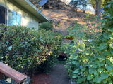 David Mikulecky review photo