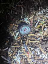 Anonymous review photo