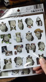 匿名 review photo