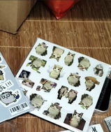 匿名 review photo