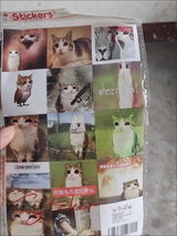 anmi review photo