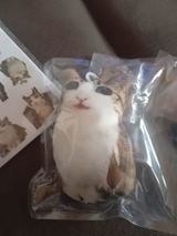 匿名 review photo