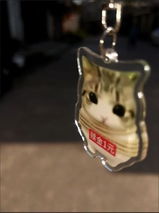 匿名 review photo