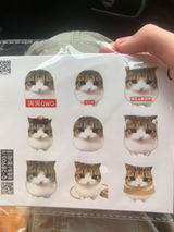 匿名 review photo