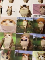 匿名 review photo
