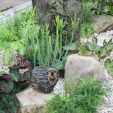 Nancy Nettle review photo