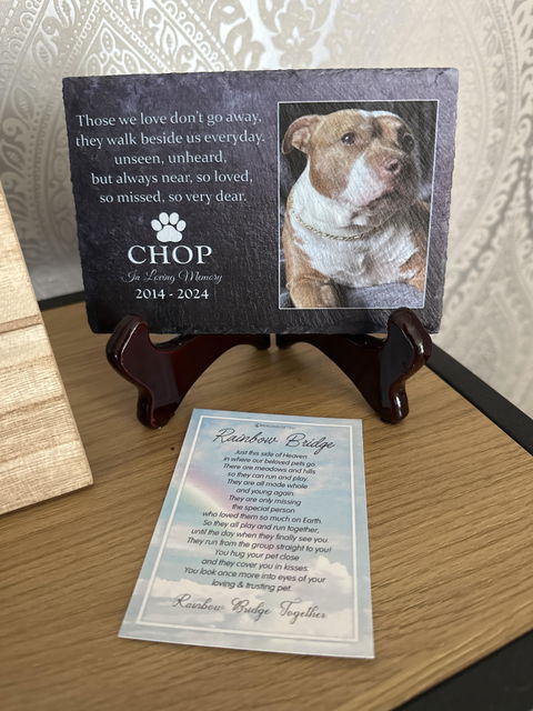 Those We Love Don't Go Away, They Walk Beside Us Every Day- Personalized Dog Memorial Stone