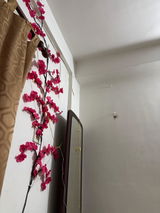Light review photo