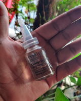 Steven Johnson Borges review photo