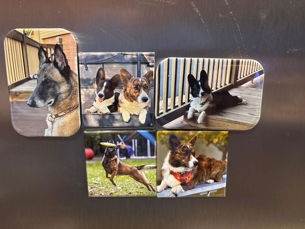Set of 9 Premium Custom Photo Magnets - #1 Best Seller