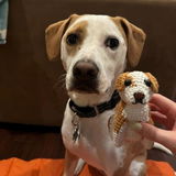 Ashley W. review photo