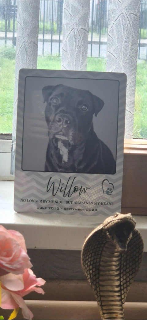 A5 Personalised Aluminium Photo Plaque