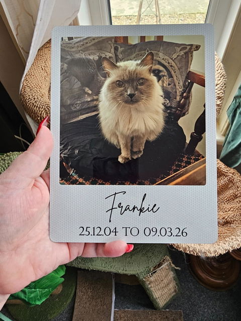 A5 Personalised Aluminium Photo Plaque