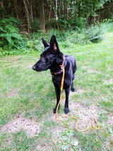 Kimber McFadden review photo