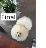 Jung Youngsuk review photo