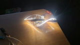 D. S. review photo
