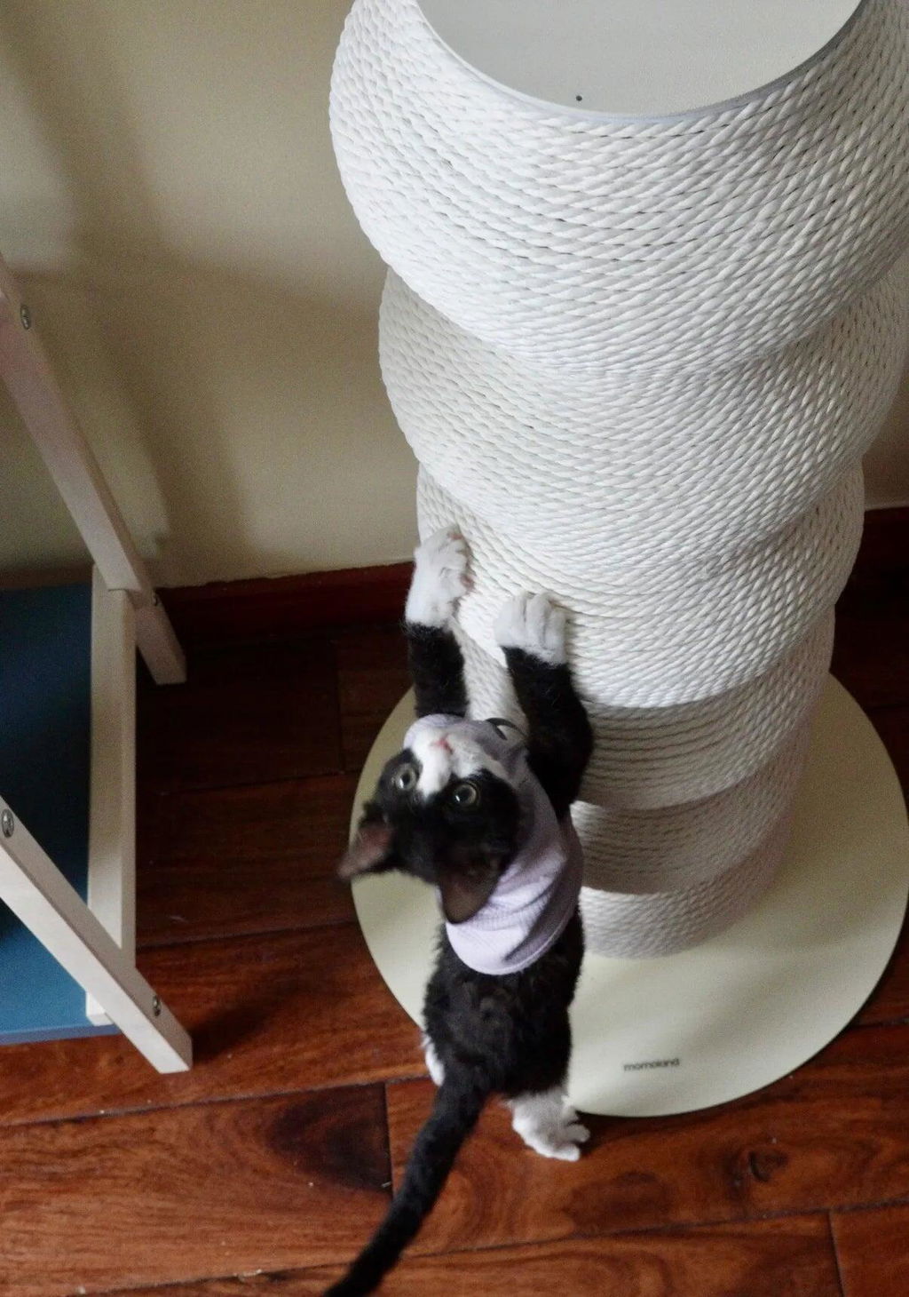 Coral Scratch Post | White