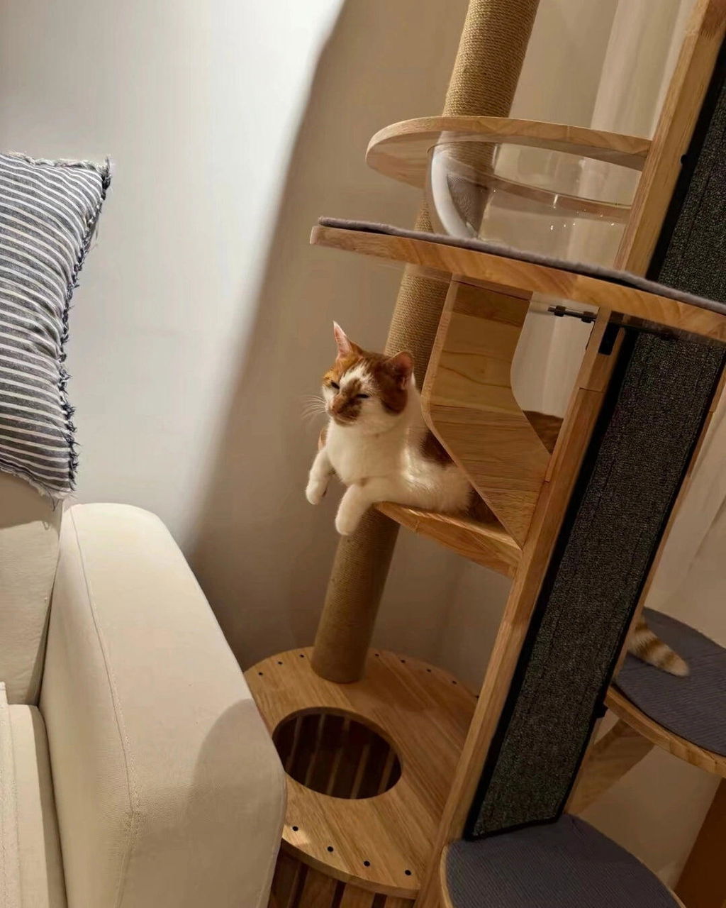 The Cat Loft