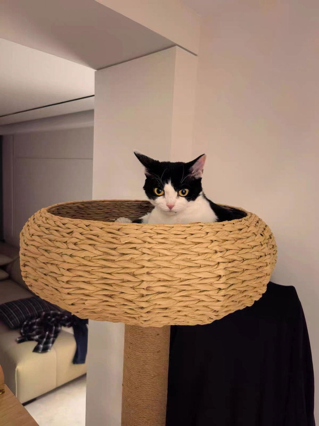 The Nest Loft