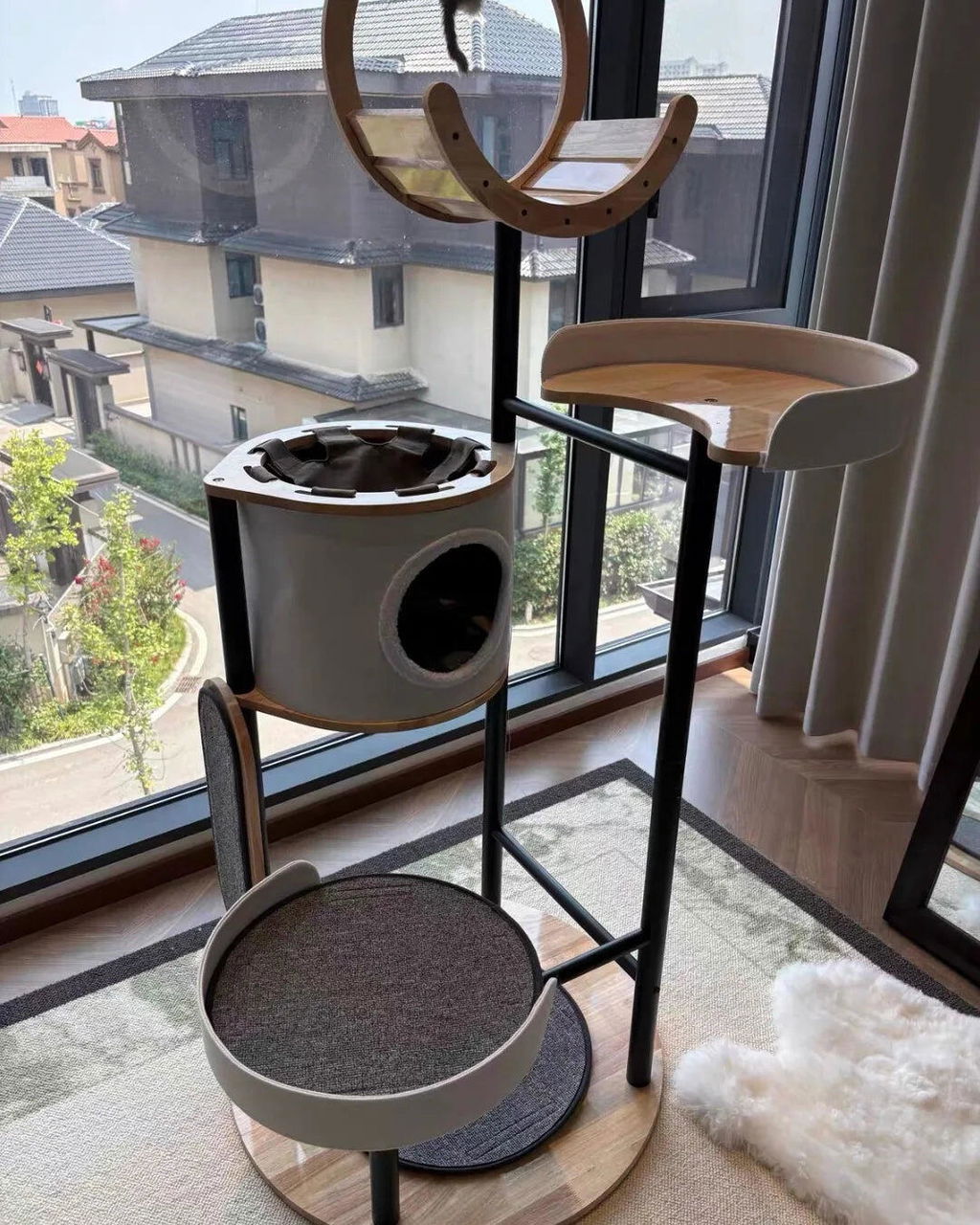 The Cat Loft II