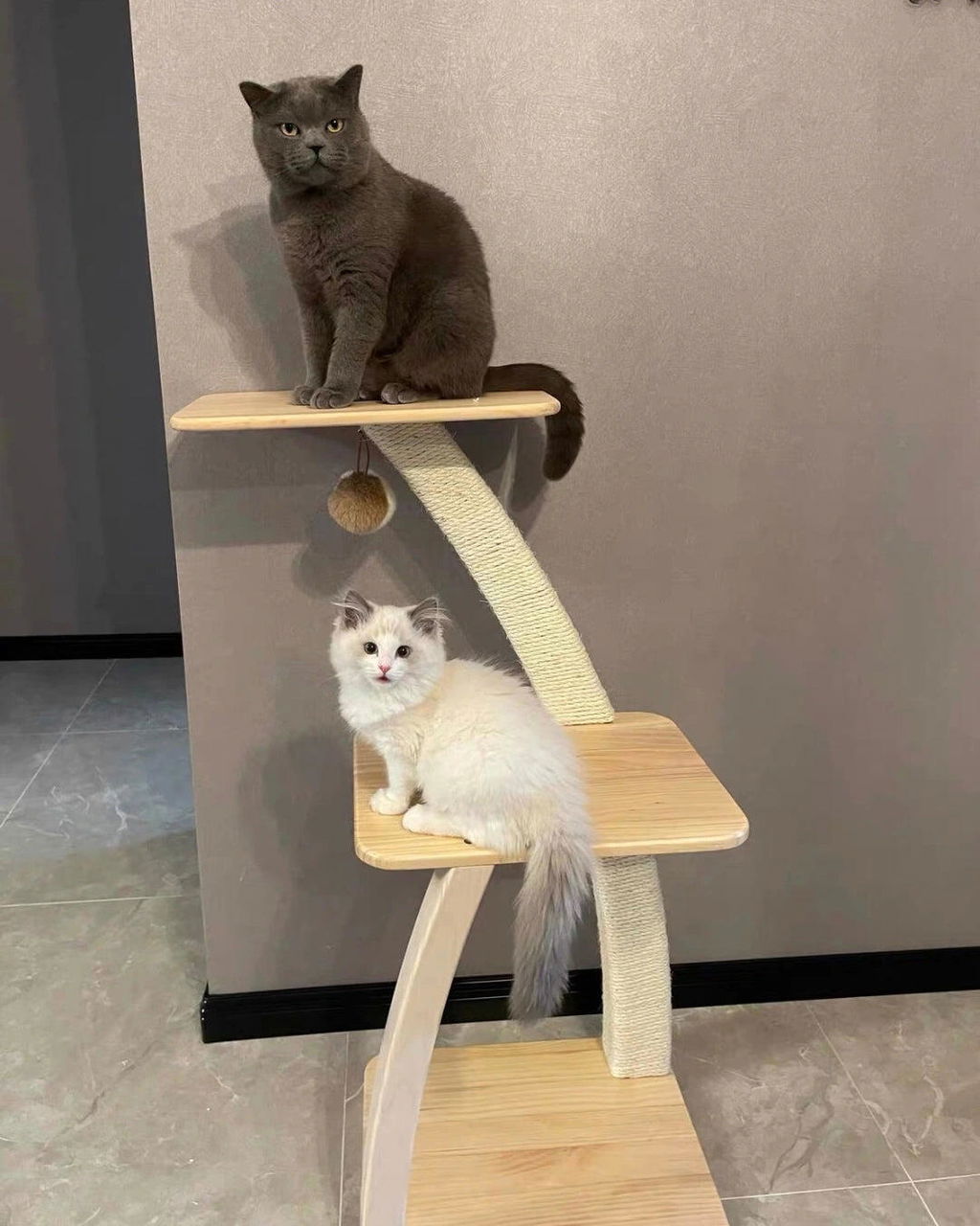 Coconut Cat Tree
