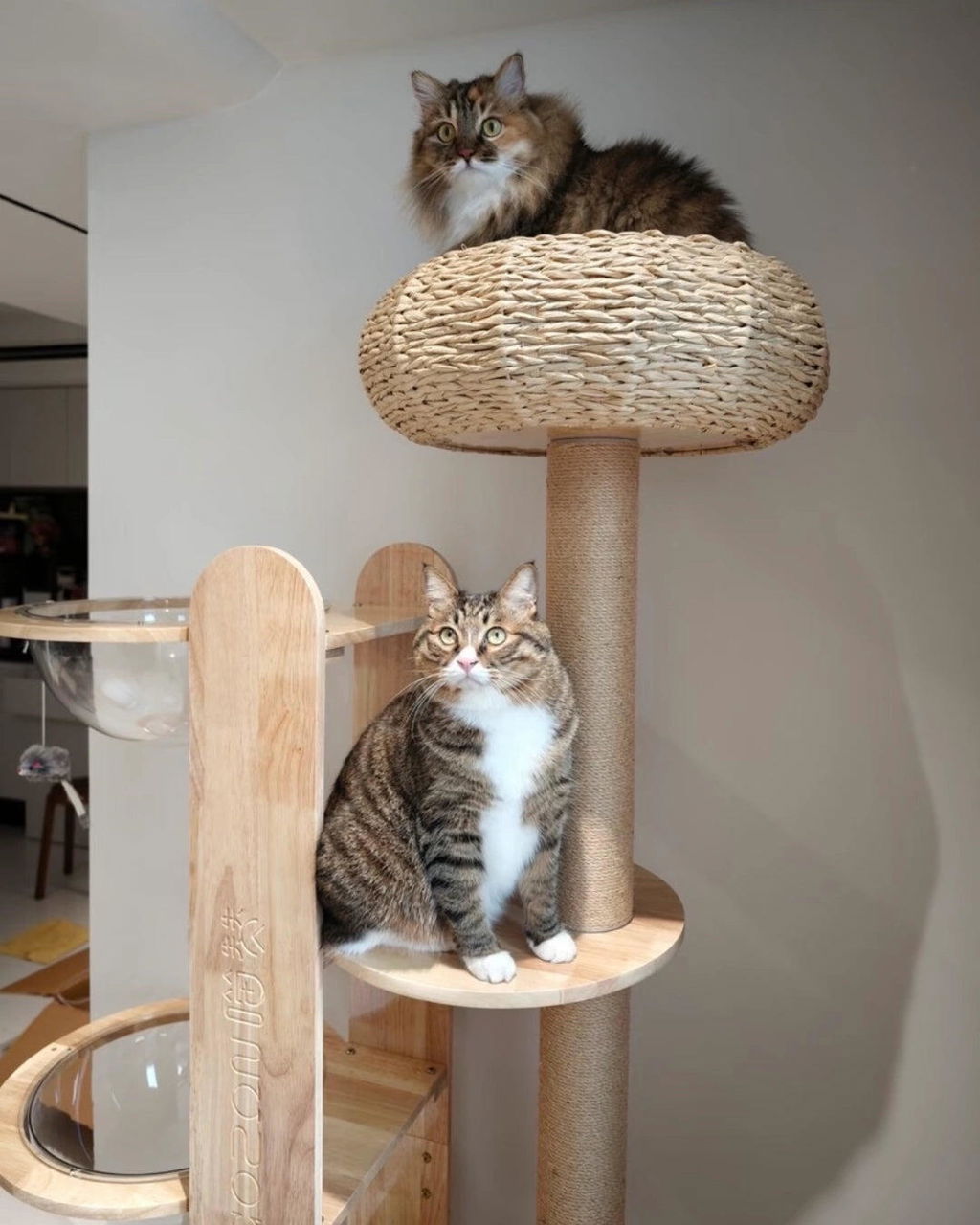The Nest Loft