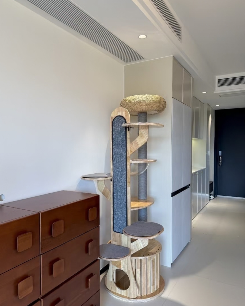 The Cat Loft