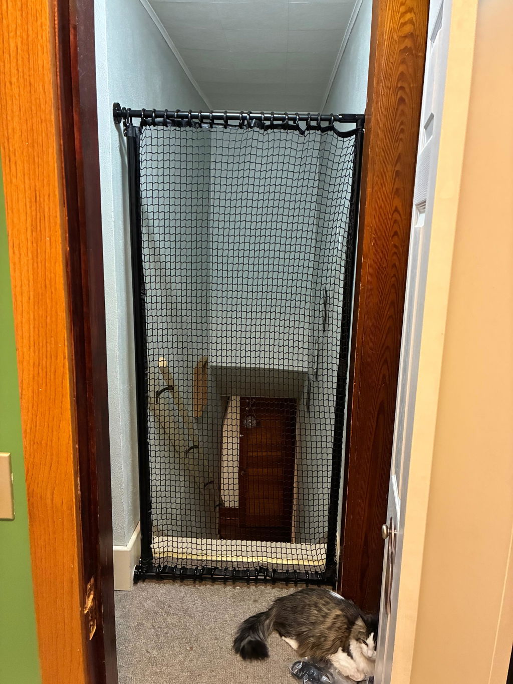 Cat Gate Extra Tall 72