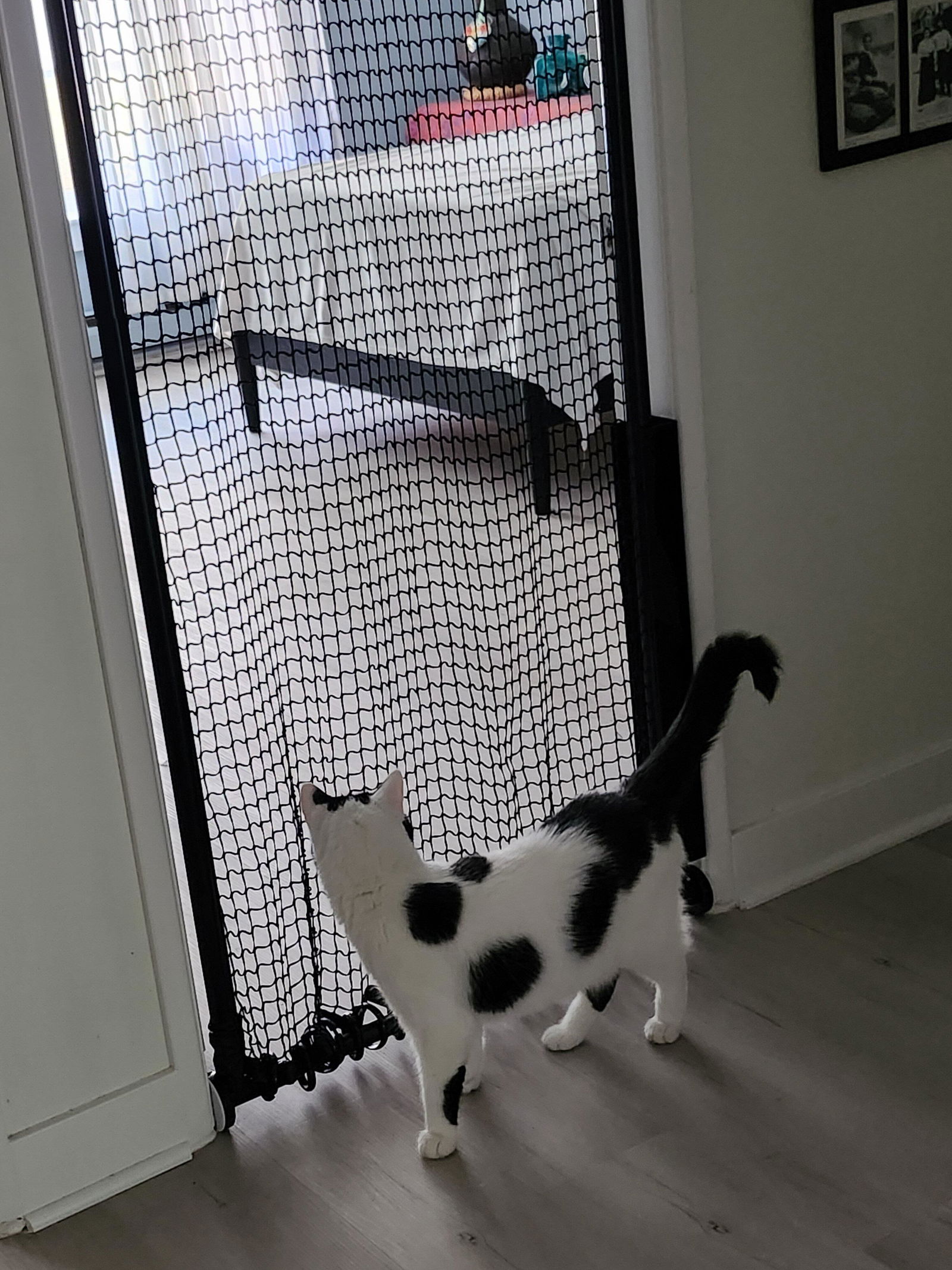 Cat Gate Extra Tall 72