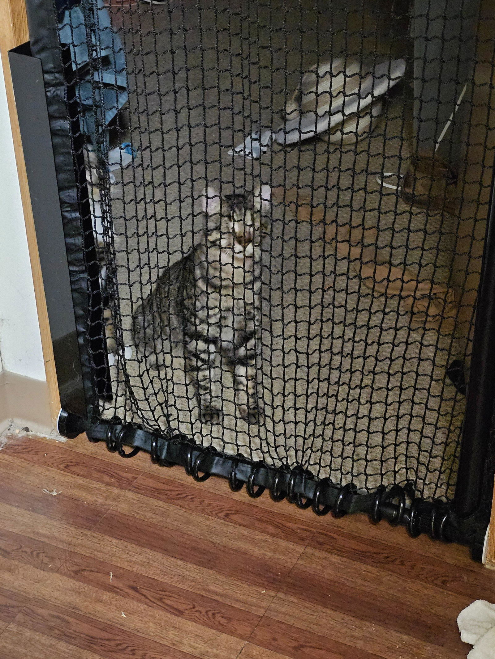 Cat Gate Extra Tall 72