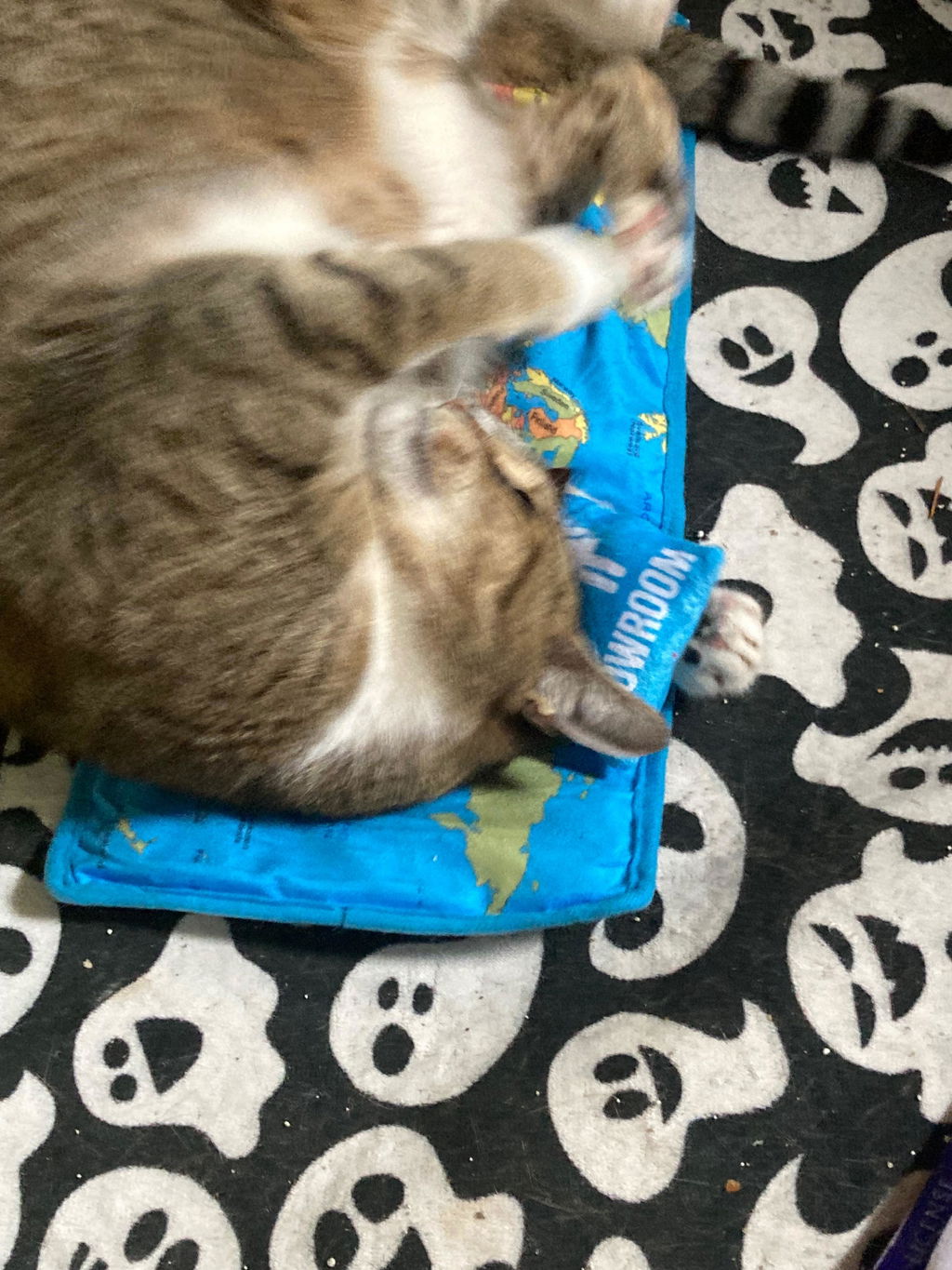 meowbox Cat Subscription Box