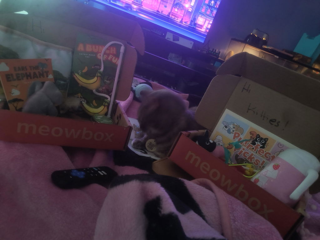 meowbox Cat Subscription Box Canada