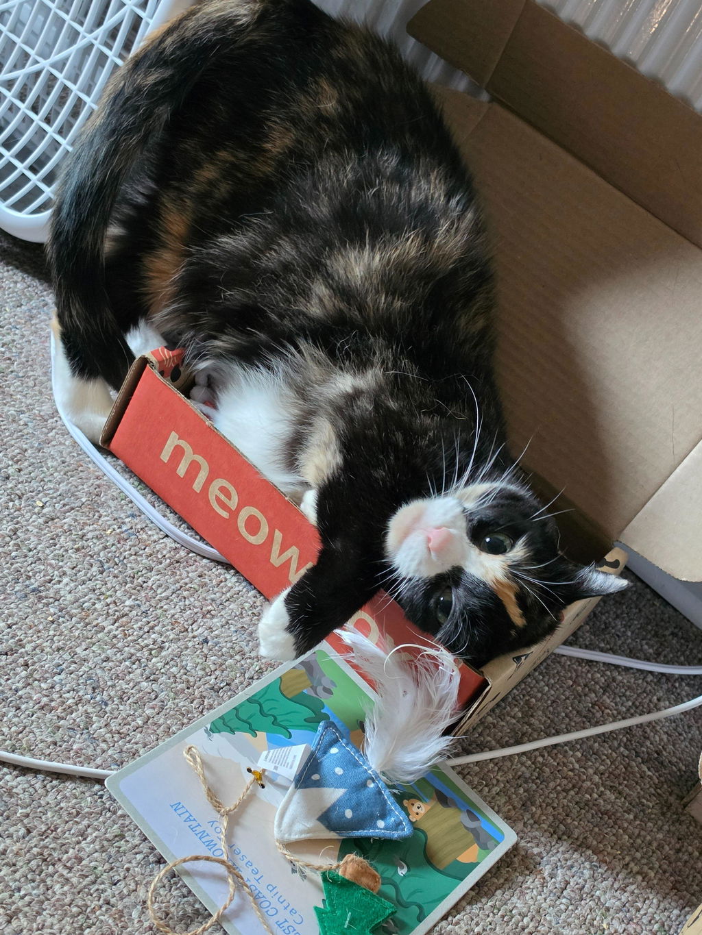 meowbox Cat Subscription Box Canada
