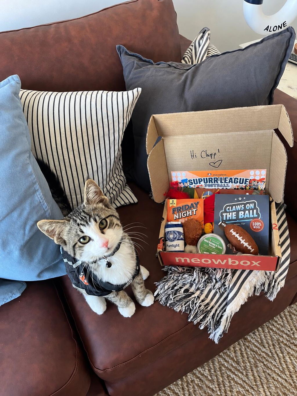 meowbox Cat Subscription Box Canada