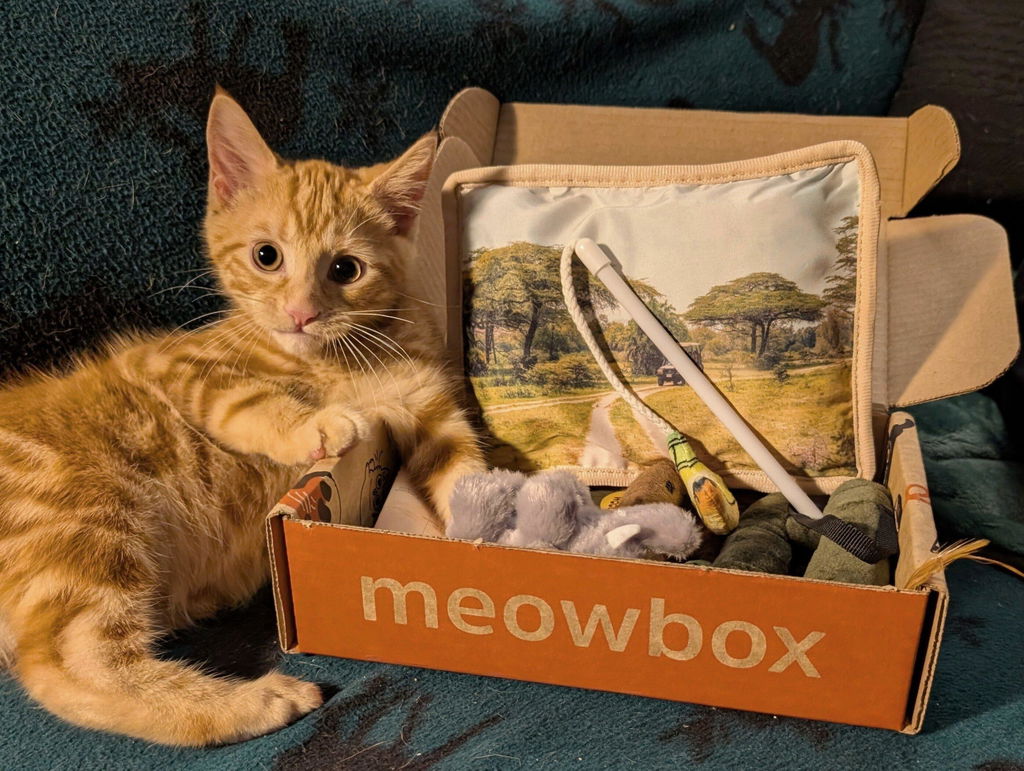 meowbox Cat Subscription Box Canada