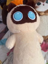 Zack review photo