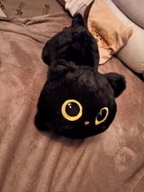Blackie.C review photo