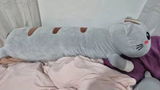 A**n review photo