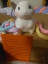 Etsy customer review photo