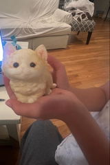 Etsy customer review photo