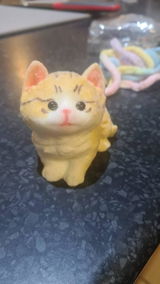 Etsy customer review photo